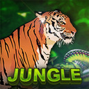 Jungle